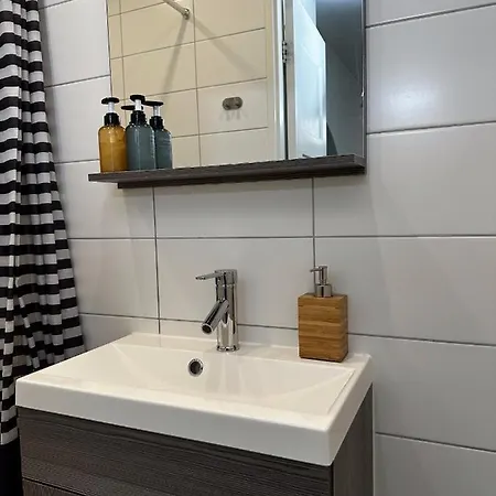 The Cozy Hidden Family P40 Delft